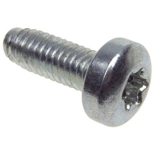 Picture of TPMS REPLACEMENT T-10 SCREWS